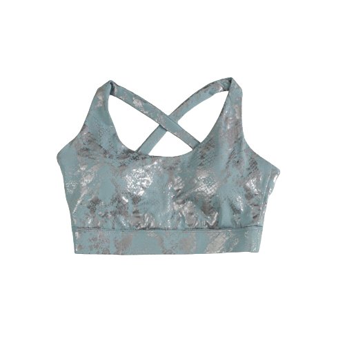 Metallic Panel Bra Metallic Print Sports Bra | Women's Sports Bras — Flamin' Fitness