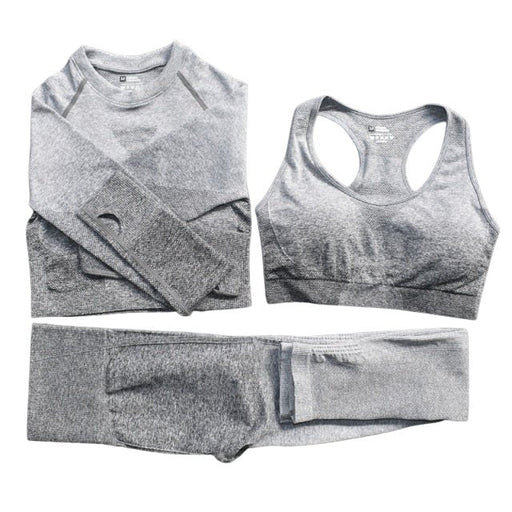 Seamless Ombre Complete Gym Set - Flamin' Fitness